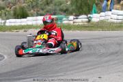 20110501_ales_agnus (3441)